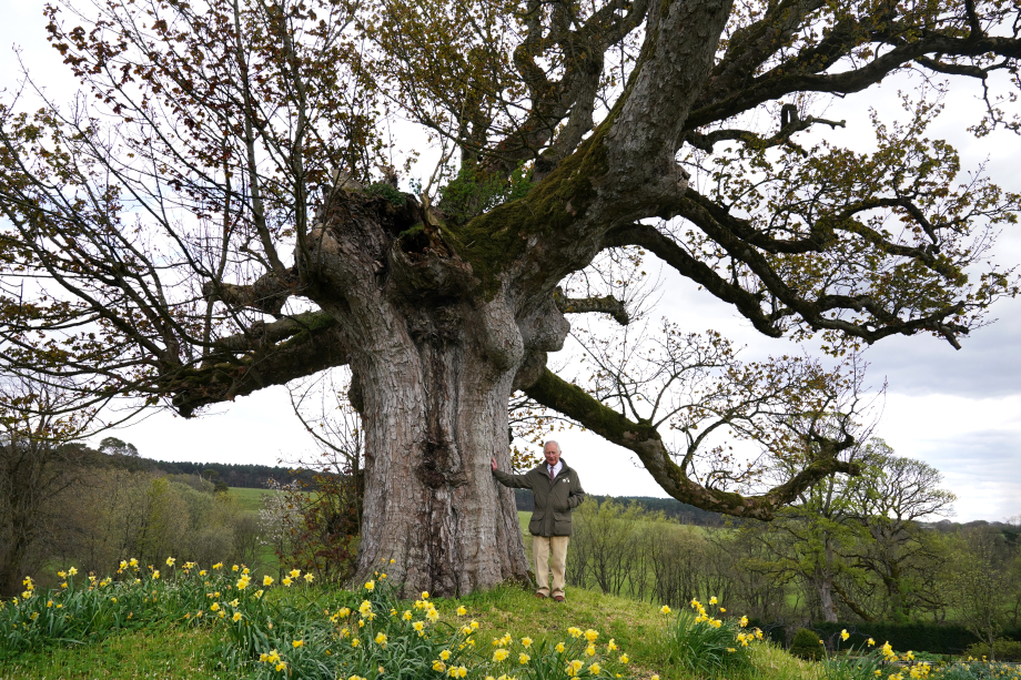 The then Prince of Wales under the Old Sycamore at Dumfries House
