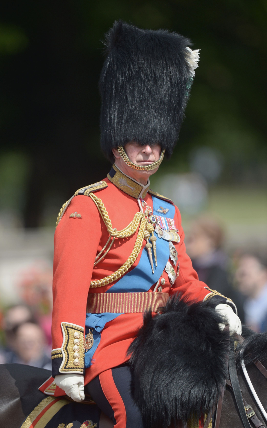 The Prince of Wales in a bearskin hat