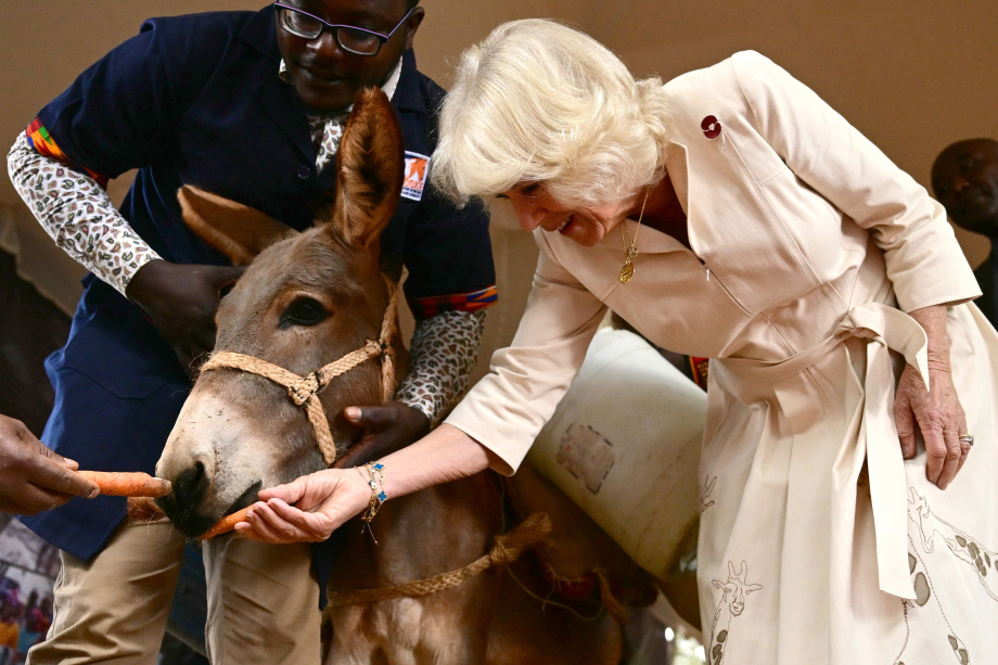 The Queen visits Brooke Donkey Sanctuary