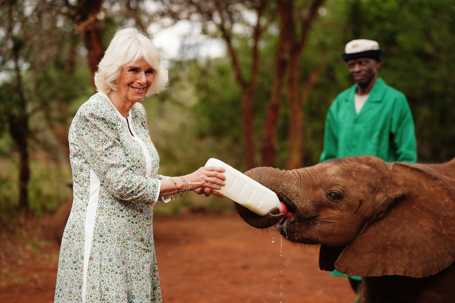 The Queen at Sheldrick Wildlife Trust Elephant Orphanage