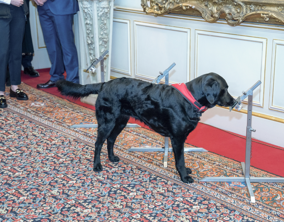 Medical Detection Dogs at Clarence House