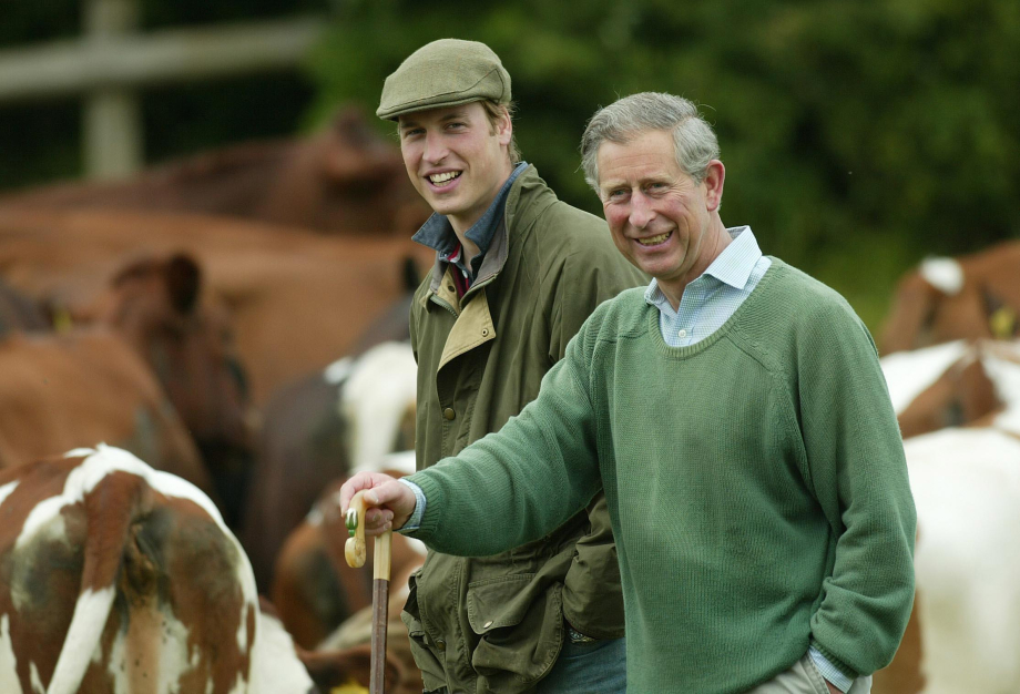 The King and The 25th Duke of Cornwall, Prince William
