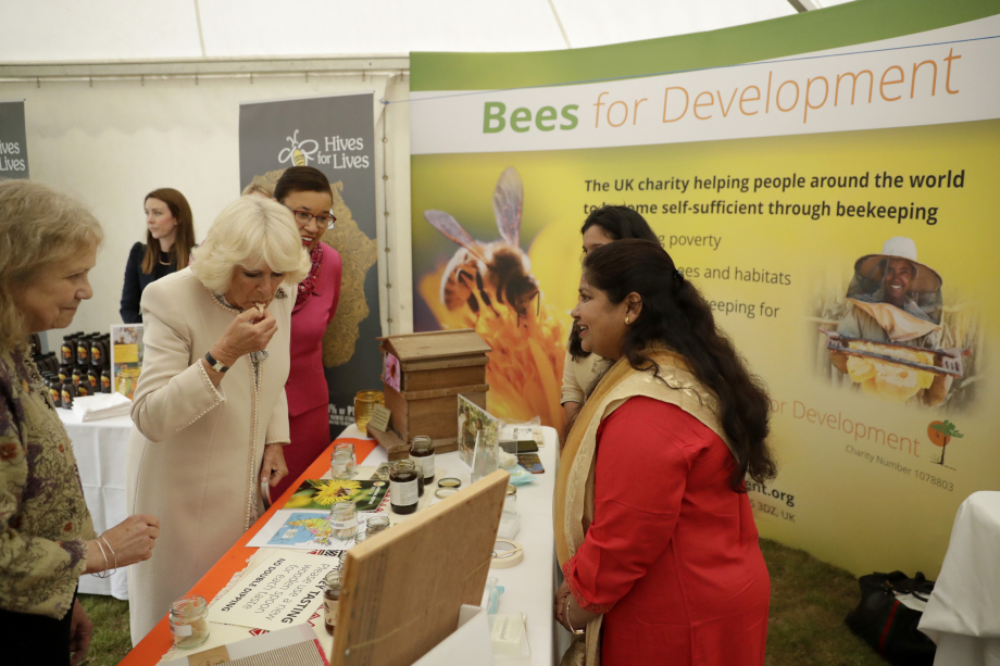 The Queen at an event for Bees for Development