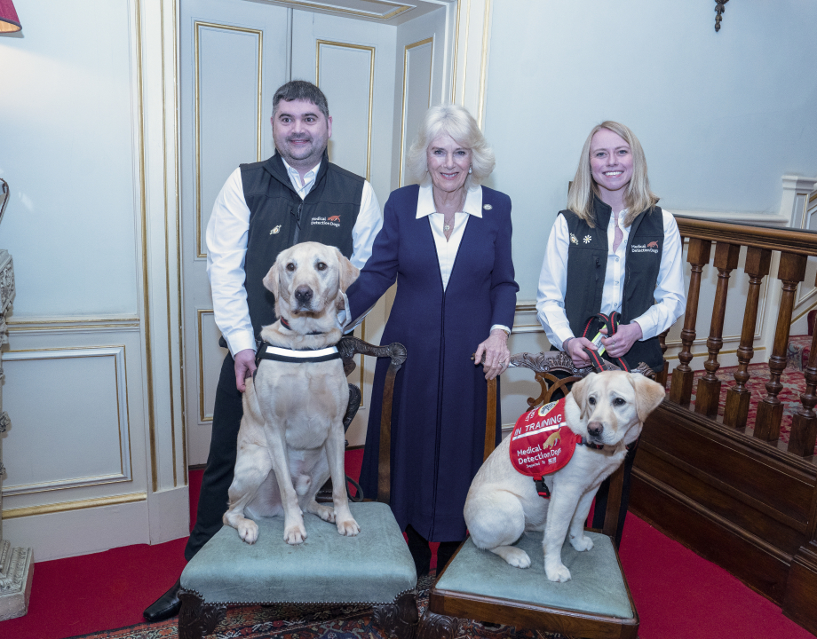 The Queen hosts a reception for Medical Detection Dogs