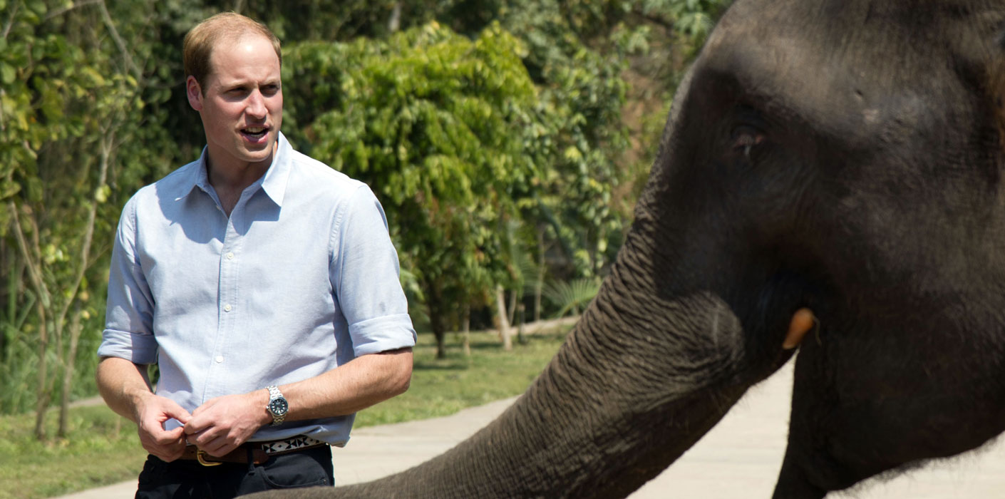 Combatting the illegal wildlife trade | The Royal Family