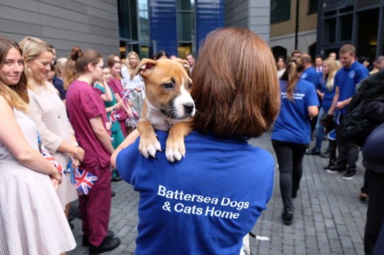The Duchess of Cornwall visited Battersea Dogs & Cats Home today and officially opened the new Veterinary Hospital and Centre of Excellence.