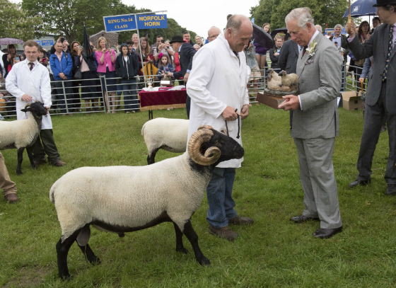 The Prince of Wales attends the 154th Royal Norfolk Show in Norwich