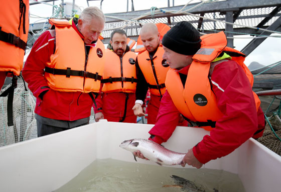 HRH at Loch Leven Fish Farm in Scotland