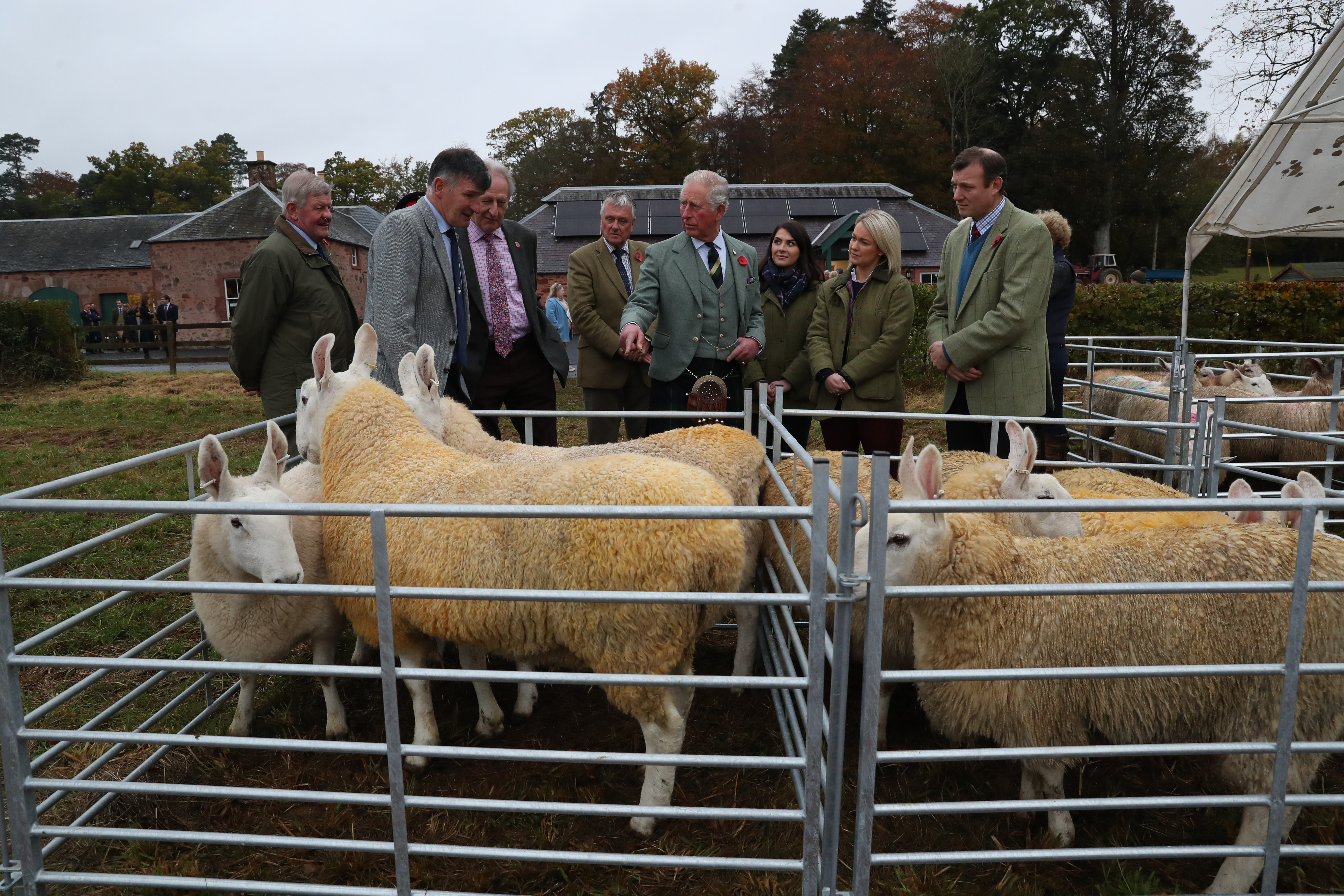 The Duke of Rothesay meeting Scottish farmers and their sheep