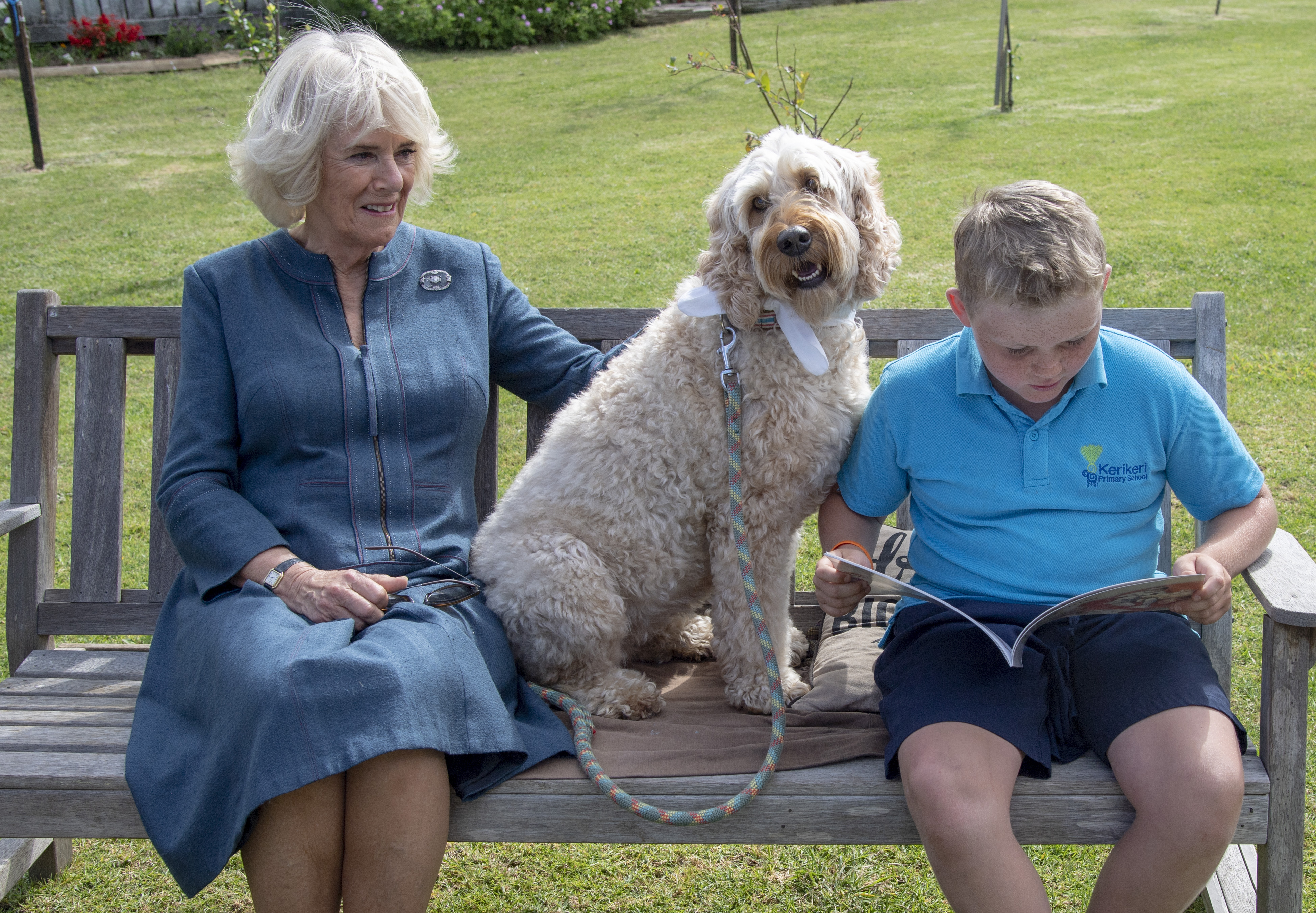 Her Royal Highness meeting therapy dog Meg 