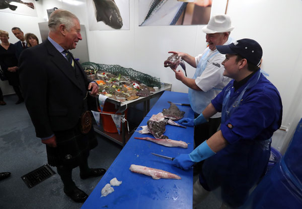 The Duke at Peterhead Fish Market