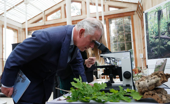 The Prince of Wales visits Kew Gardens
