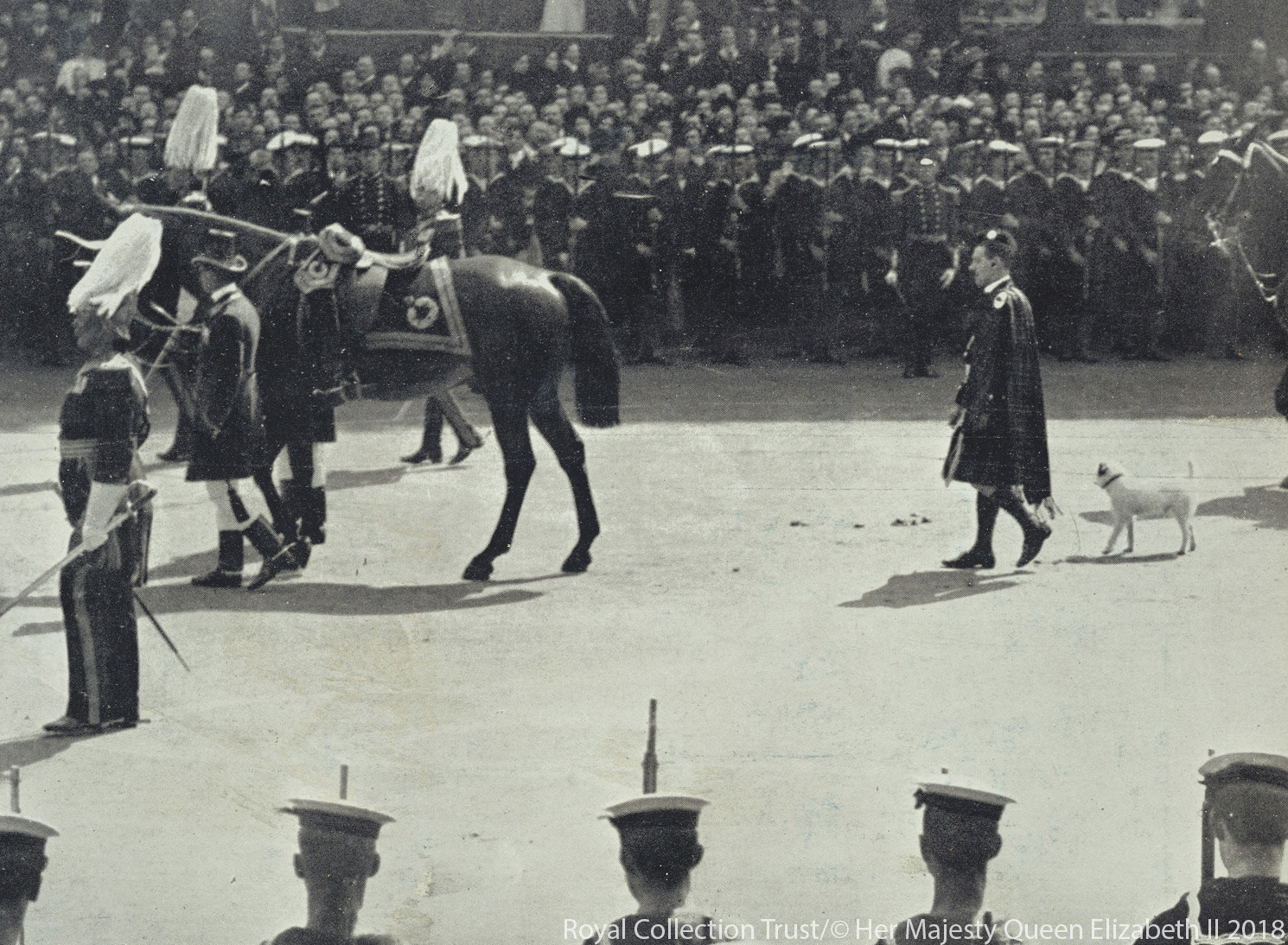 Caesar walks behind King Edward VII's coffin