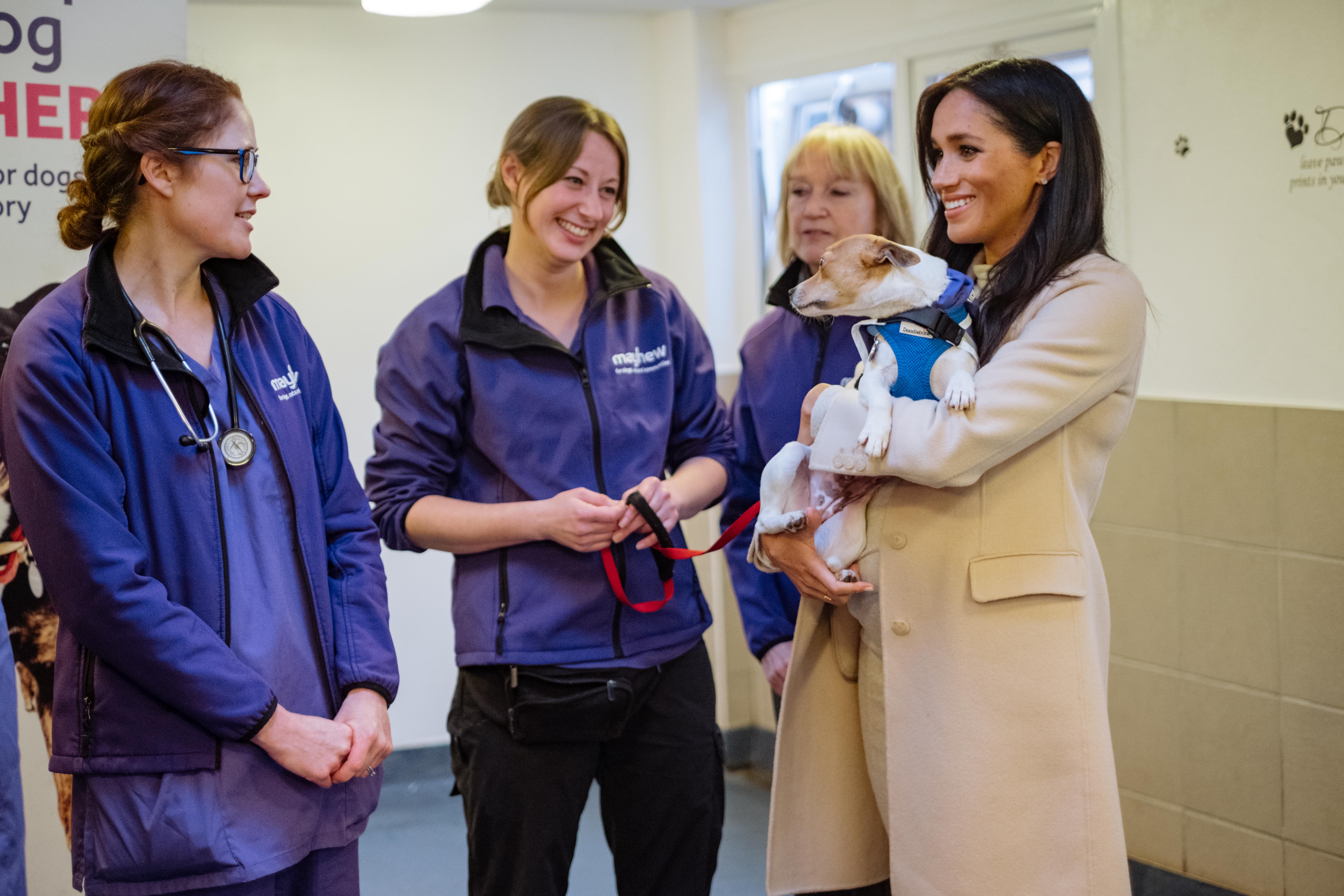 the Duchess of Sussex mayhew