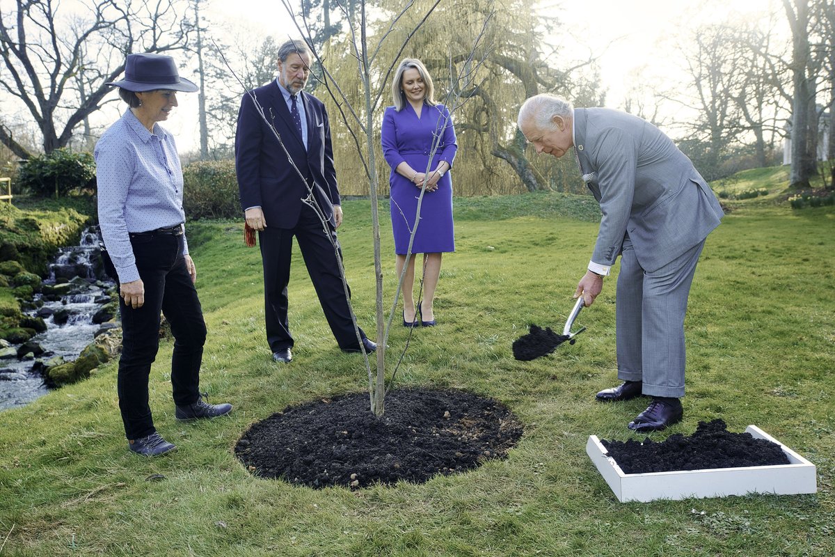 The Prince of Wales plants a tree to mark The Queen's Platinum Jubilee