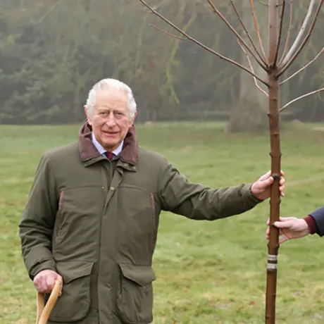 The King and The Prince of Wales 