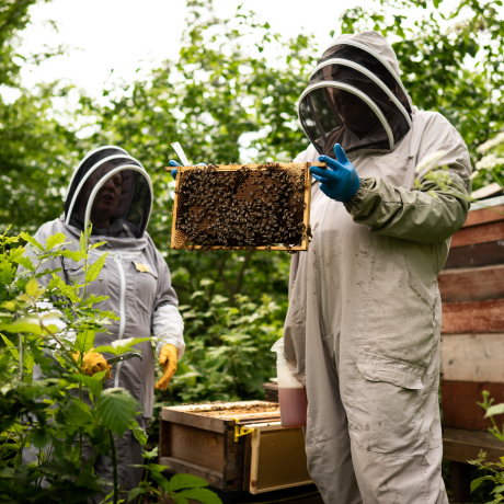 Beekeepers at Buckingham Palace