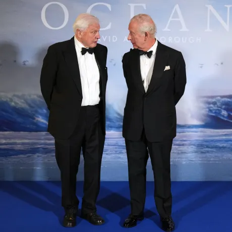The King and Sir David Attenborough at the premiere of 'Ocean with David Attenborough'