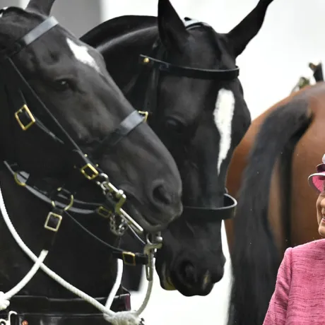 The Queen reviews The King's Troop Royal Horse Artillery in Hyde