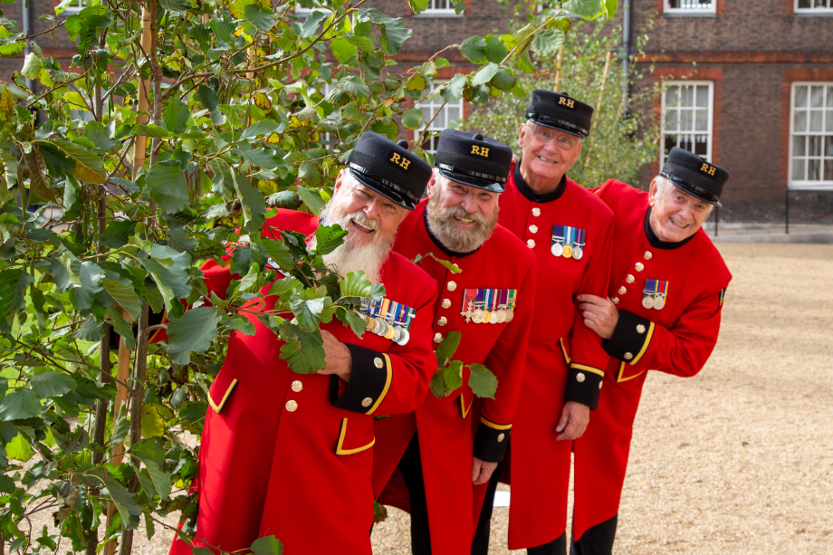 Chelsea Pensioners plant a tree for the Queen's Green Canopy
