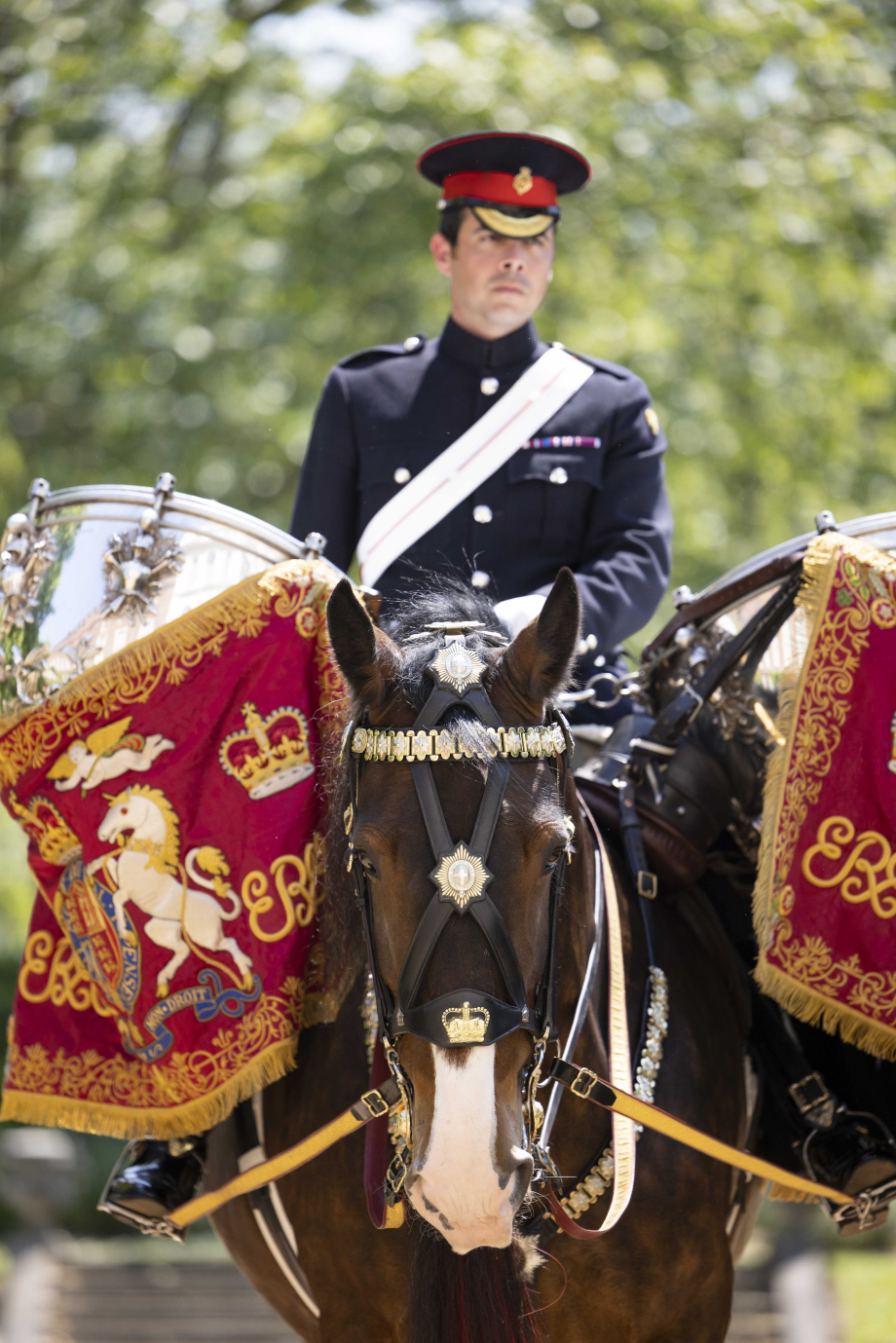 The Queen officially names the new Household Cavalry Drum Horse