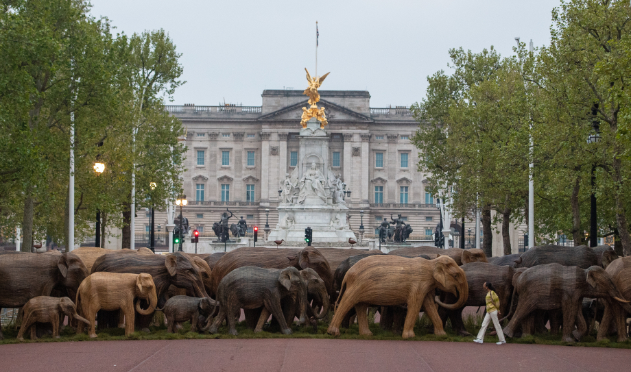 Lantana elephants head to the Royal Parks