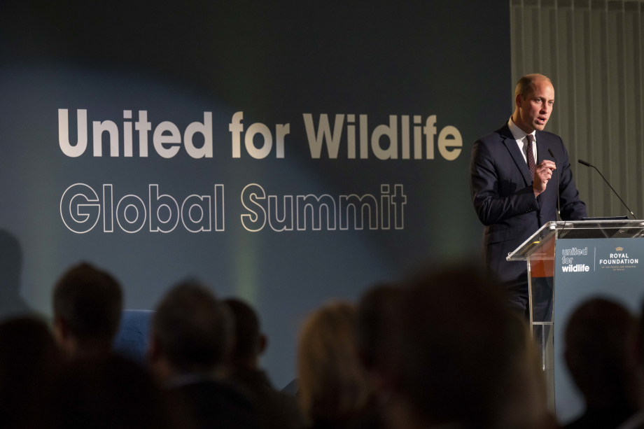 Prince William at a United for Wildlife event