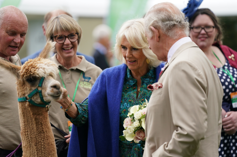 The King and Queen meet an Alpaca at a country show