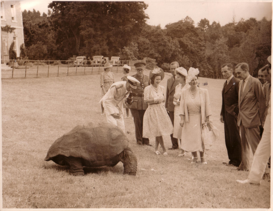King George VI, Queen Elizabeth The Queen Mother, Princess Elizabeth and Princess Margaret meet Jonathan the Tortoise