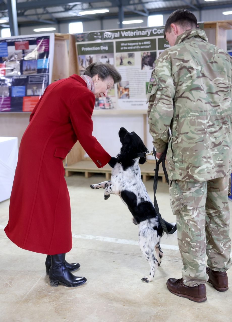 The Princess with an army dog