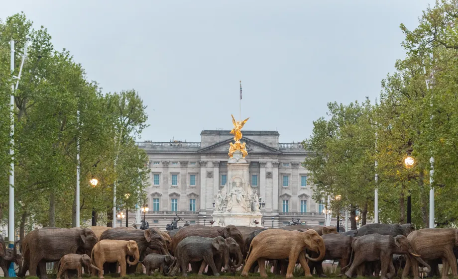 Elephants cross The Mall