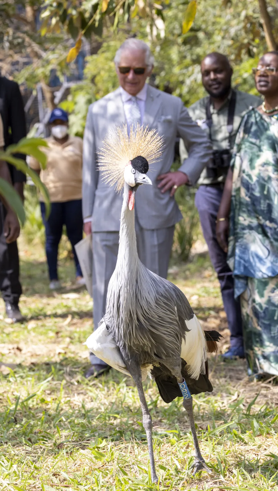 The King at Umusambi Village, Rwanda