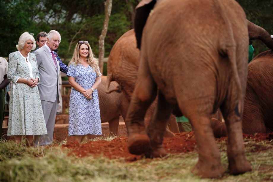 The King and Queen at Sheldrick Wildlife Trust
