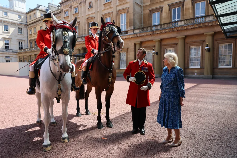Queen Camilla as she hosts a reception at Buckingham Palace in London, to mark the 90th anniversary of Brooke, a charity dedicated to improving the lives of working horses, donkeys, and mules. 