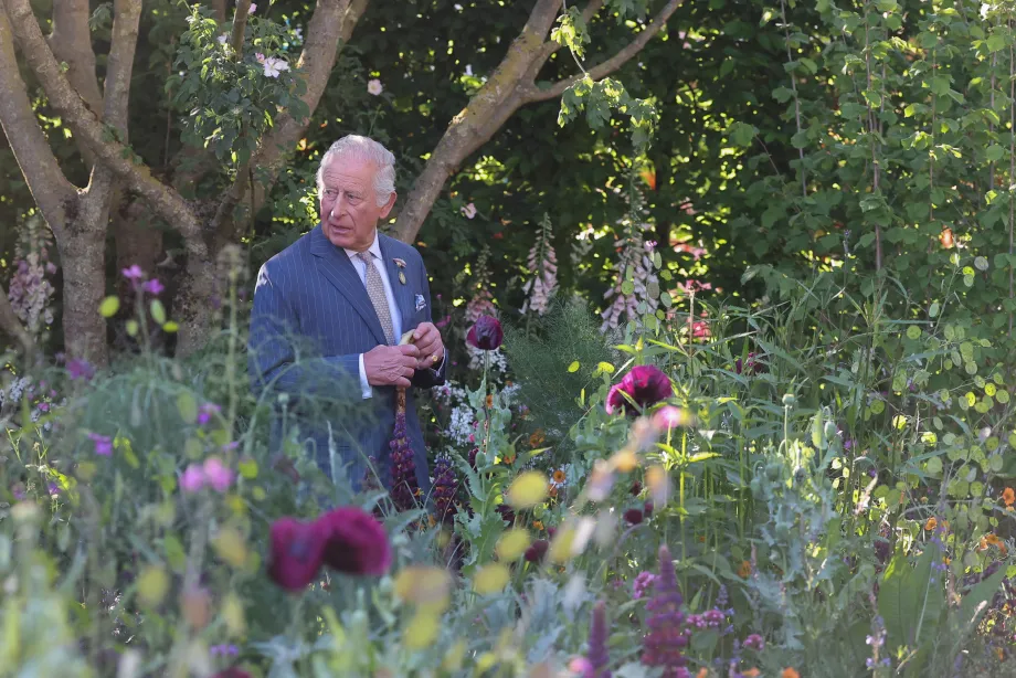 The King at Chelsea Flower Show