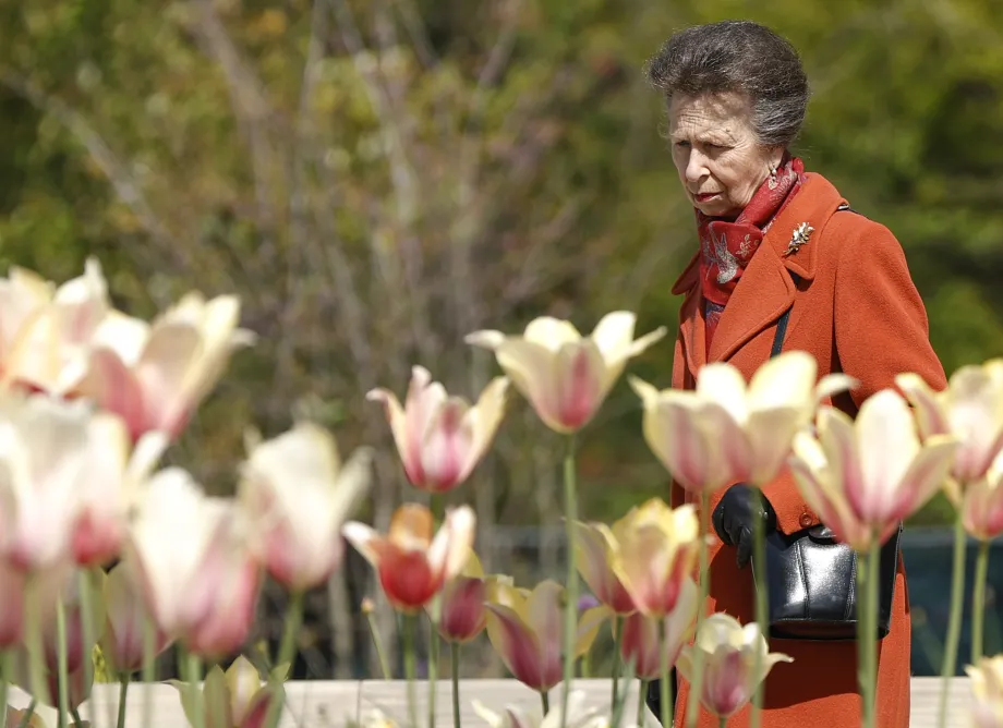 princess royal