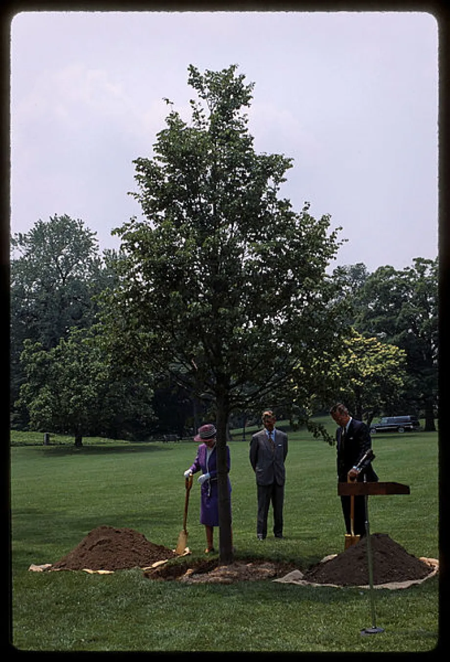 QE2 and President George H. W. Bush plant a little-leaf linden tree on the South Lawn of the White House Grounds in 1991. White .jpg