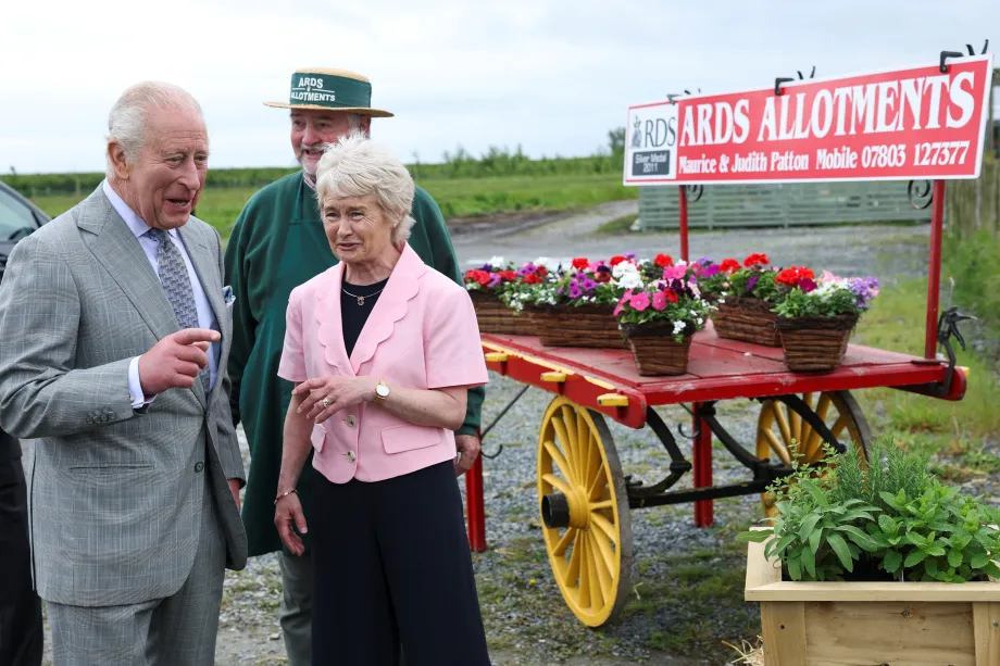 Ards Allotments