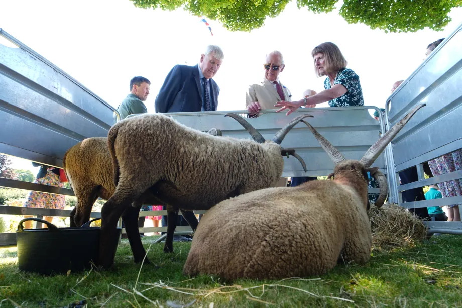 The King meets sheep at a Garden Party