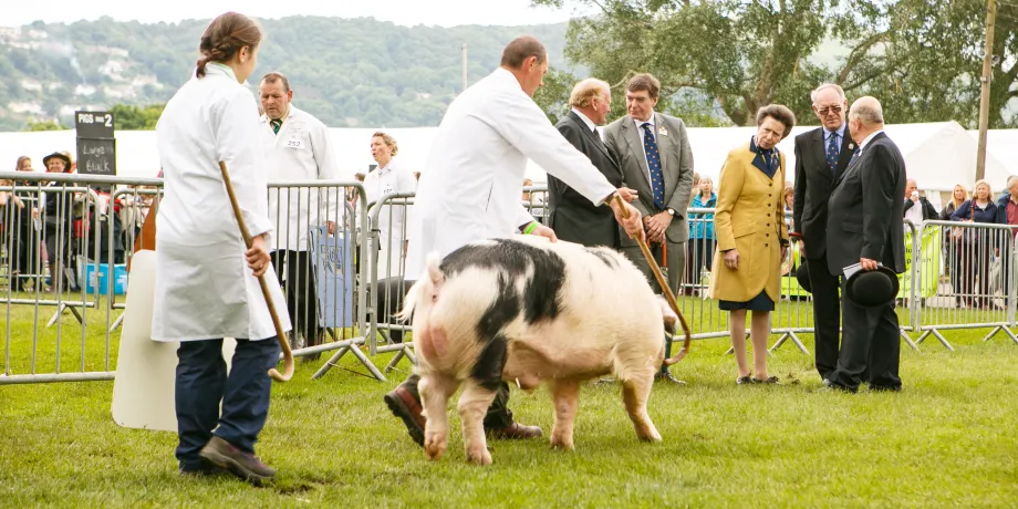 The Princess Royal at the Royal Three Counties Show