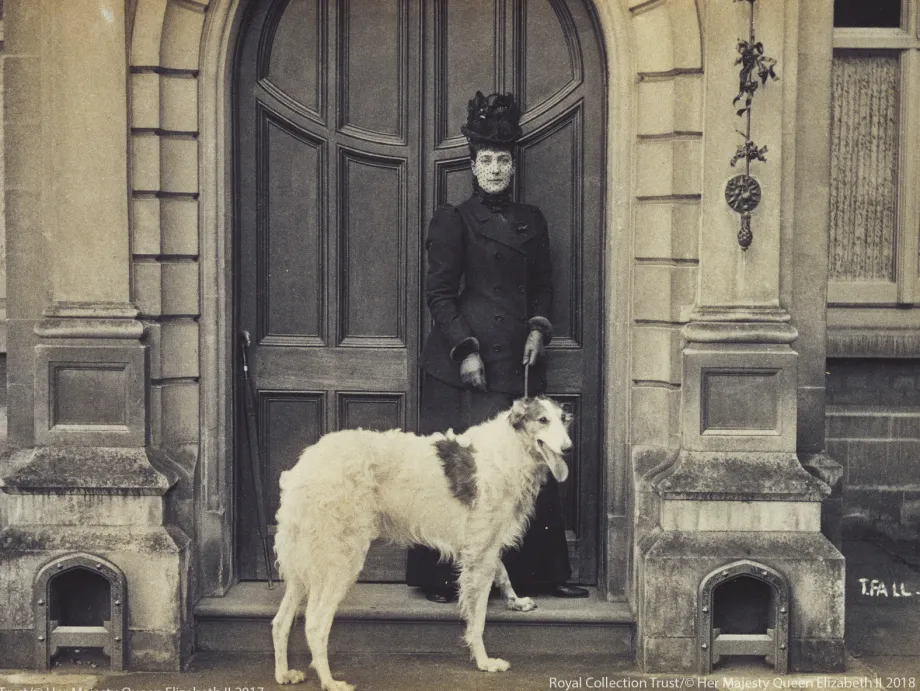 Queen Alexandra with her Borzoi, Alex