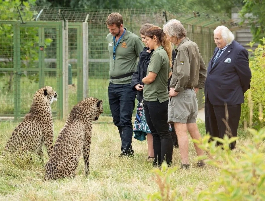 Big Cat Santuary