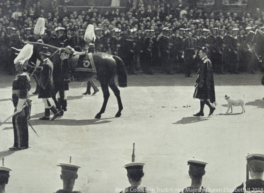 Caesar walks behind King Edward VII's coffin