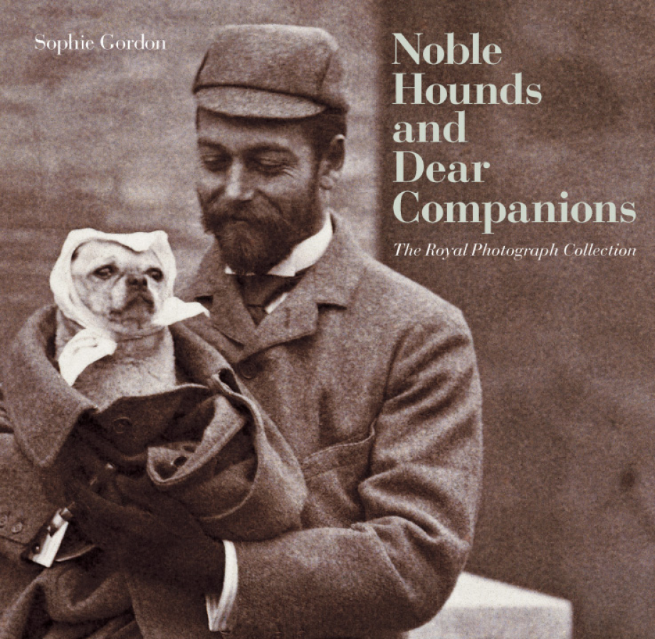 Noble Hounds and Dear Companions