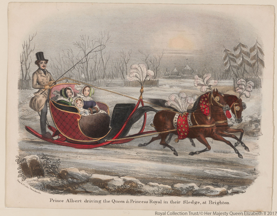 Prince Albert drives his family on a sledge