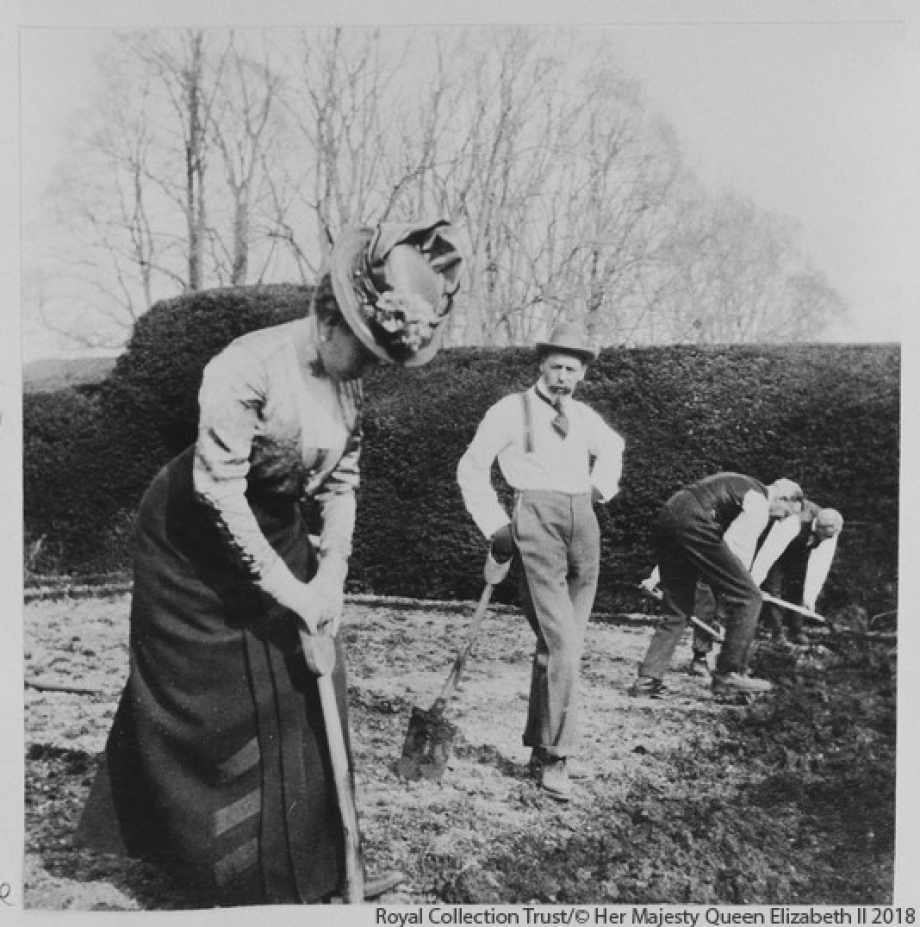 Queen Mary planting potatoes