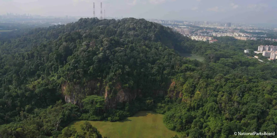 Singapore Bukit Timah nature reserve 