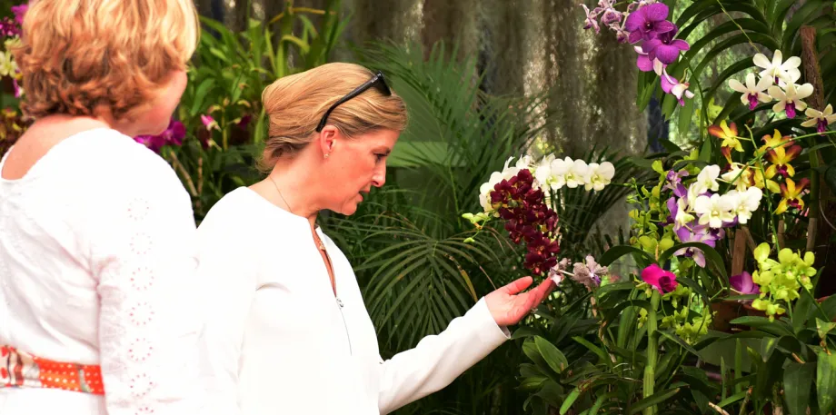 The Countess in Botanical Gardens Sri Lanka