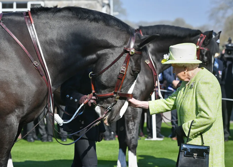 the-queen-in-somerset-2019