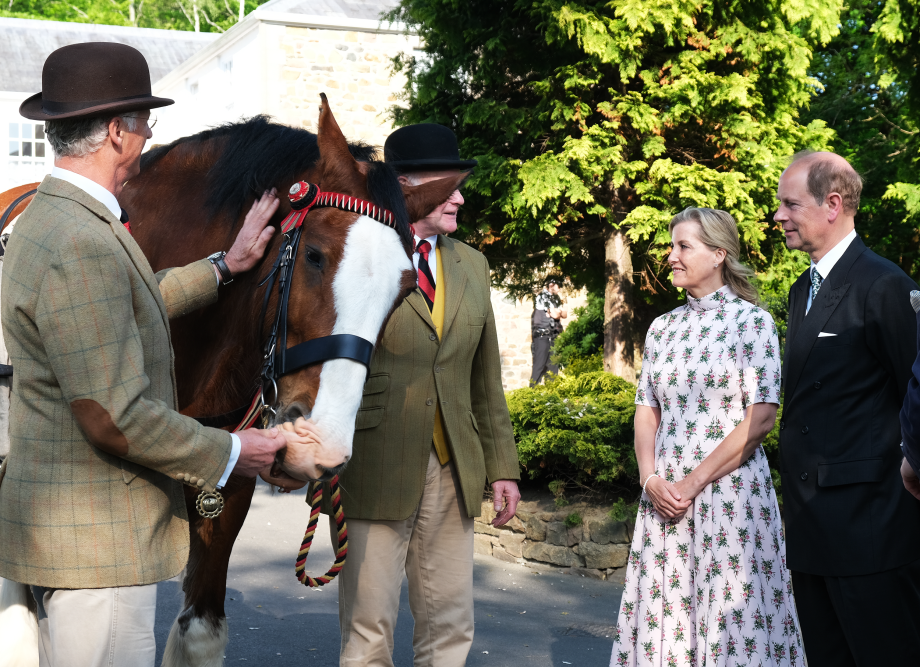 The Earl and Countess of Wessex meet Ajax the Shire Horse